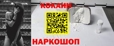 СК Кингисепп