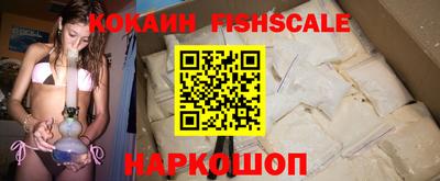 СК Кингисепп