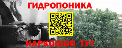 хмурый Кинель