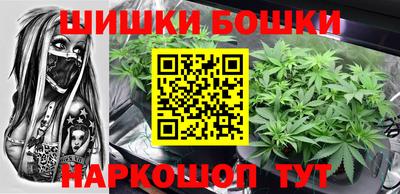 СК Кингисепп