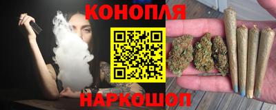 СК Кингисепп