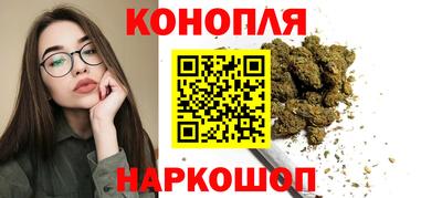 СК Кингисепп