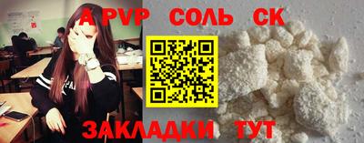 СК Кингисепп