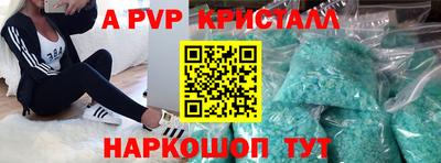СК Кингисепп