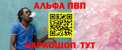 СК Кингисепп