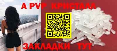 СК Кингисепп